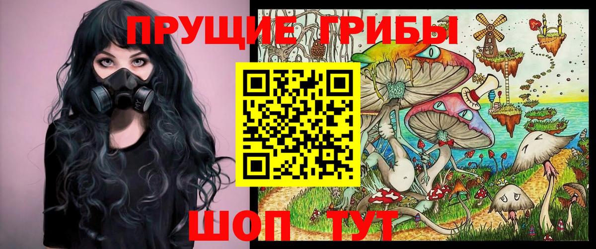 Псилоцибиновые грибы мухоморы  Вход с VPN  Галлюциногенные грибы Psilocybe  Зеленокумск 