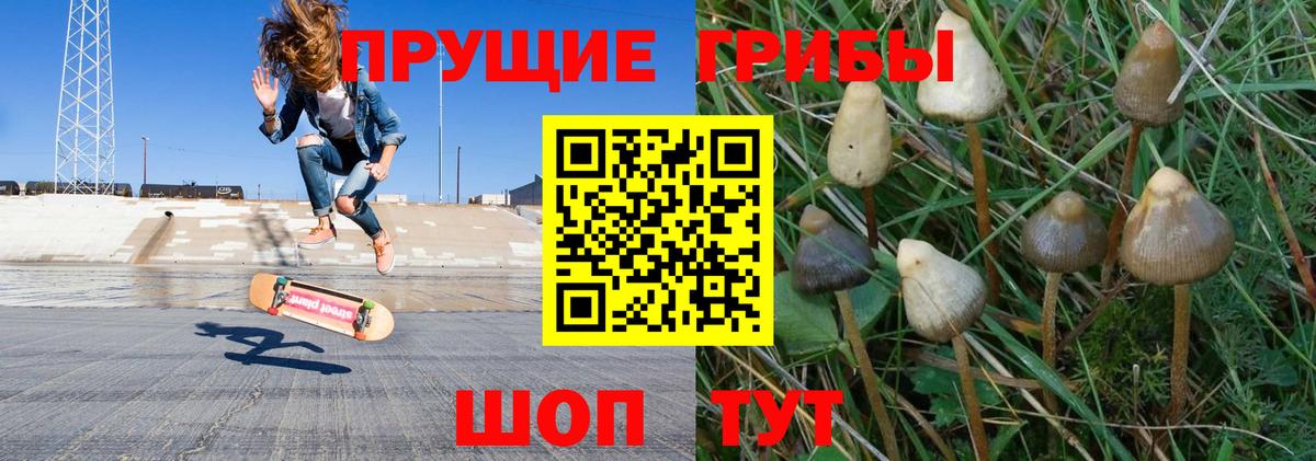 Галлюциногенные грибы мухоморы Зеленокумск